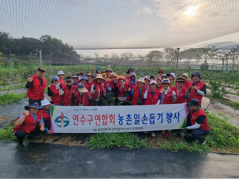 연수구, 선학동 블루베리 수확으로 어린이 체험교육·지역 나눔 실천
